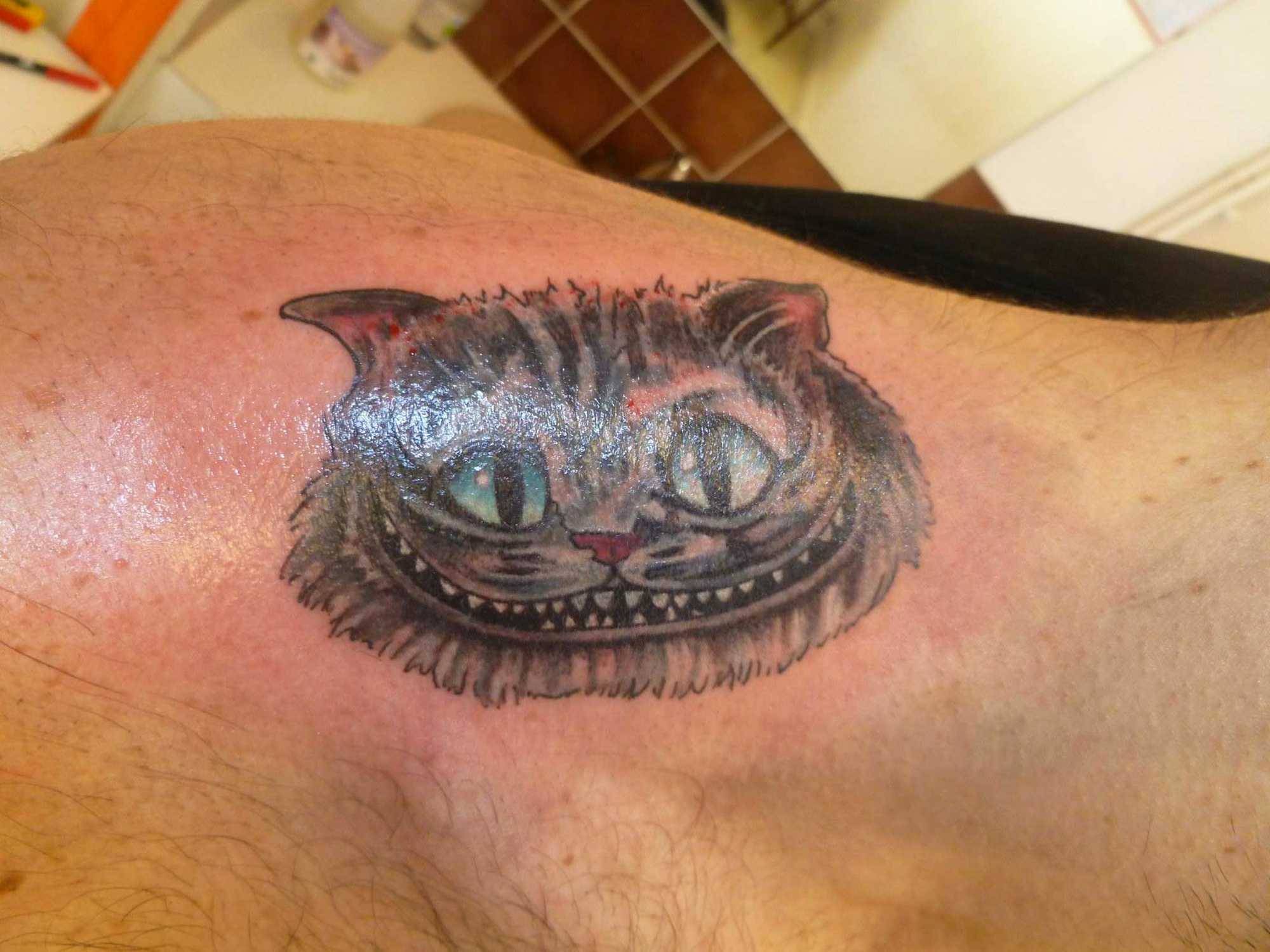 chat